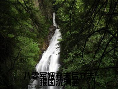 八零军嫂弃夫后立志报国沈清荟全篇完整在线阅读（谢修泽沈清荟）热门章节列表