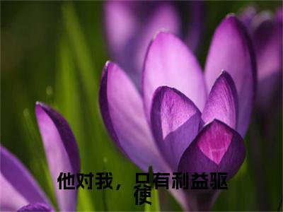 他对我，只有利益驱使小说整本+后续（沈卿欢谢临渊）清爽版阅读