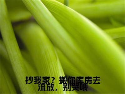 抄我家？搬你库房去流放，别哭哦（叶芷汐赵钰）小说在线阅读_抄我家？搬你库房去流放，别哭哦免费阅读笔趣阁（叶芷汐赵钰）