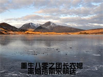 高分_重生八零之团长农媳离婚指南宋明廷小说(彭招娣宋明廷)（重生八零之团长农媳离婚指南宋明廷）全本完整阅读