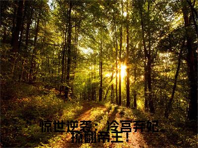 李清欢：结局+番外新上热文（惊世逆袭：冷宫弃妃撩翻帝王！）:全文+番外+纯净版结局