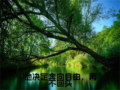 新章速递他决定奔向自由，再不回头是什么小说(温舒滢傅铭安)完本阅读无广告（他决定奔向自由，再不回头）