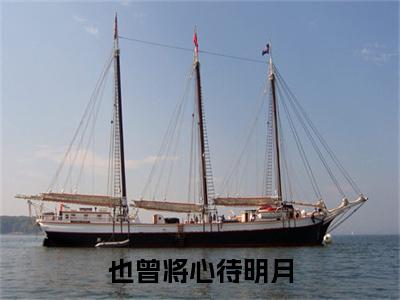 （头条）陆景珩江晚吟小说(也曾将心待明月)整本免费版阅读无广告（陆景珩江晚吟）