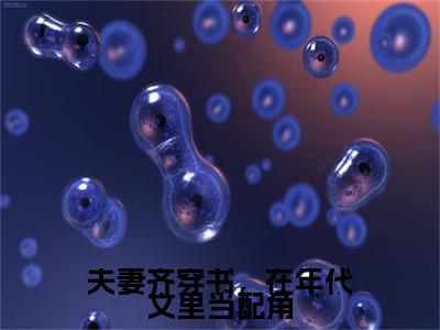 夫妻齐穿书，在年代文里当配角：+后续无删版（邓明浩李若兰）终章阅读无广告
