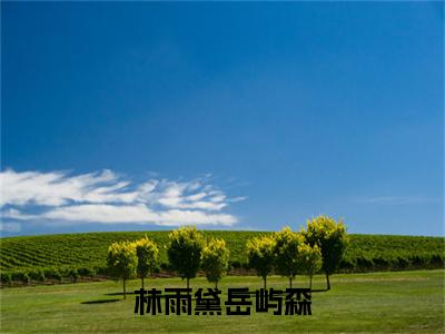 林雨黛岳屿森林雨黛岳屿森彩蛋完整在线阅读（林雨黛岳屿森）最近章节列表