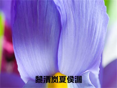 黎清岚夏侯渊彩蛋小说结尾+附加（黎清岚夏侯渊）清爽版阅读