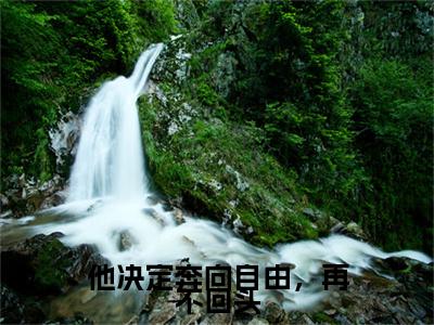全网首发温舒滢傅铭安彩蛋(他决定奔向自由，再不回头)（温舒滢傅铭安）全本完整阅读无弹窗