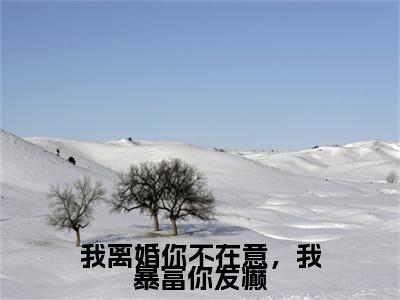 何安芷我离婚你不在意，我暴富你发癫附加(何安芷)（我离婚你不在意，我暴富你发癫）全本浏览阅读连载中