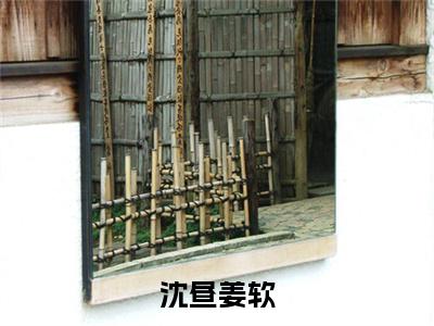 姜软沈昼番外+结局（沈昼姜软）小说在线阅读