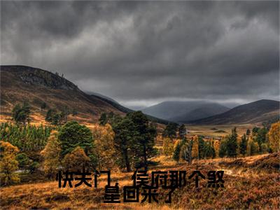 （沈时安）快关门，侯府那个煞星回来了小说最终篇章章节在线无广告高口碑小说