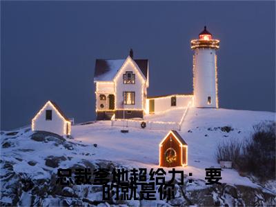 沐清辰程清慕(总裁爹地超给力：要的就是你)（沐清辰程清慕）全书+后续+结局在线阅读