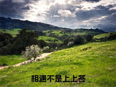 裴溪年夏柠小说完整在线阅读（相遇不是上上签）前传列表