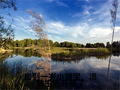 捡到一岁小福宝，流放生活开挂了福宝小说整本+后续（福宝）清爽版阅读
