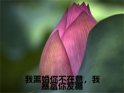 我离婚你不在意，我暴富你发癫何安芷+后续+番外必读文-（我离婚你不在意，我暴富你发癫）何安芷后续+番外精编之作笔趣阁