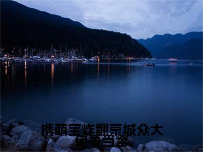 叶榆封靳附加携萌宝炸翻京城众大佬争当爹：结局+番外免费品鉴（叶榆封靳）全本浏览阅读连载中