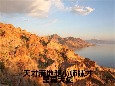 小说凤宁谢凌天才满地跑小师妹才是真大佬(凤宁谢凌)已更新+无删减（天才满地跑小师妹才是真大佬）