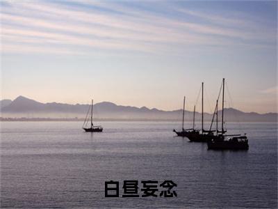 白昼妄念（卫妤时酌）结局+番外新上热文大结局_白昼妄念小说免费阅读最新章节列表笔趣阁（卫妤时酌）