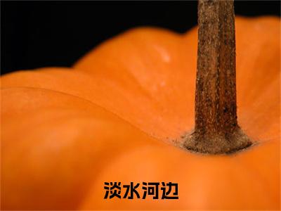 （书荒必看）周成玉田渔音淡水河边：+后续热血十足