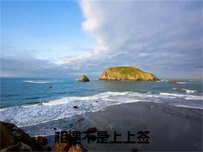 相遇不是上上签小说完整在线阅读（裴溪年夏柠）前传列表