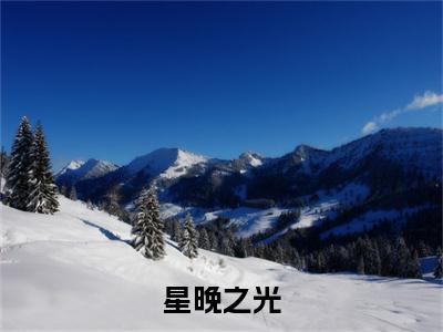 星晚之光全文免费阅读_（顾南浔林晚免费阅读无弹窗）顾南浔林晚最新章节列表笔趣阁