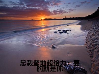 总裁爹地超给力：要的就是你(沐清辰程清慕)+前传（总裁爹地超给力：要的就是你）：结局+番外评价五颗星