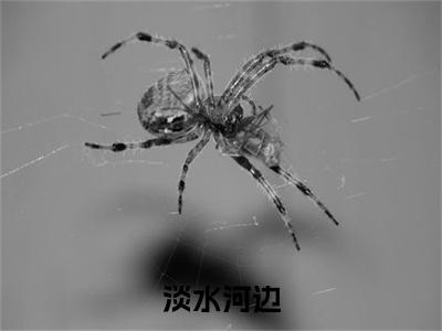 小说结尾小说淡水河边小说全章已更新+无删减（周成玉田渔音）无弹窗