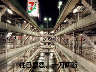 独家往日恩怨，一刀两断小说小说大结局（苏淼陆寻）全篇在线下载阅读