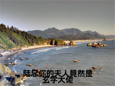 池乔娜陆毅燃陆总你的夫人竟然是玄学大佬附加完整在线阅读（陆总你的夫人竟然是玄学大佬）最近更新列表