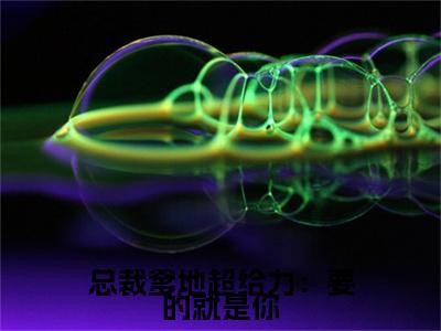 程清慕沐清辰小说(总裁爹地超给力：要的就是你)（程清慕沐清辰）完整章节列表_笔趣阁