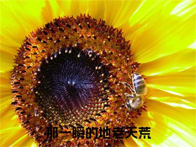（头条）那一瞬的地老天荒(江知愉裴聿然)整本免费版阅读无广告（那一瞬的地老天荒）