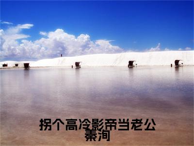 江晚窈秦洵电子书+番外篇章+（拐个高冷影帝当老公秦洵）免费版在线阅读