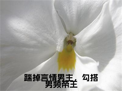 沈毓灵小说(踹掉言情男主，勾搭男频帝王)小说全集在线下载_章节前文+后续（沈毓灵）