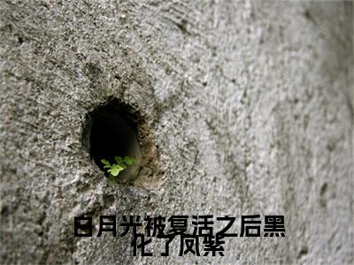 白月光被复活之后黑化了凤紫后续(白月光被复活之后黑化了凤紫)（沈翎昂凤紫）完整章节列表_笔趣阁