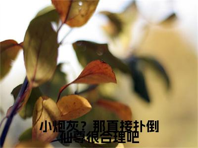 苏虞时清霄（小炮灰？那直接扑倒仙尊很合理吧）全文免费阅读_苏虞时清霄（小炮灰？那直接扑倒仙尊很合理吧）免费在线阅读_笔趣阁