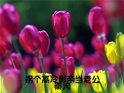 江晚窈秦洵小说完结篇(拐个高冷影帝当老公秦洵)（江晚窈秦洵）全书无套路阅读无广告小说大结局