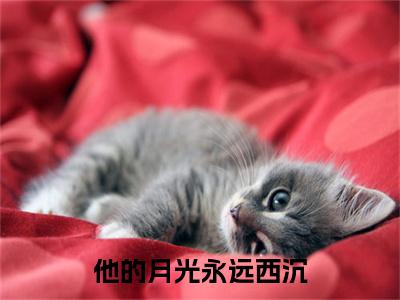 他的月光永远西沉全文免费阅读_（姜栀季柏燃免费阅读无弹窗）姜栀季柏燃最新章节列表笔趣阁