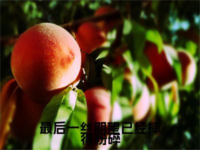 最后一丝期望已经摔得粉碎：结局+番外(萧泽珩慕辞)全文萧泽珩慕辞读无弹窗结局_萧泽珩慕辞读结局章节列表_笔趣阁（最后一丝期望已经摔得粉碎：结局+番外）