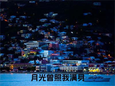 月光曾照我满身小说完整在线阅读（顾思乔徐牧野）前传列表