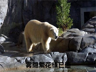 雾隐繁花情已逝番外+结局（宋颜泽江晚吟）小说在线阅读