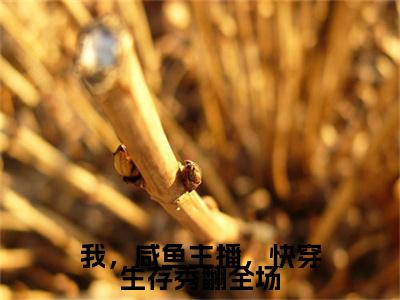 我，咸鱼主播，快穿生存秀翻全场（姜渔小说）全文免费阅读无弹窗大结局_姜渔小说免费阅读最新章节列表