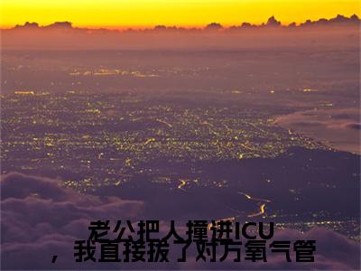 陆祁年沈卿语结局+番外下载番外（老公把人撞进ICU，我直接拔了对方氧气管）热推完整版小说阅读_陆祁年沈卿语结局+番外全文免费阅读笔趣阁（老公把人撞进ICU，我直接拔了对方氧气管）