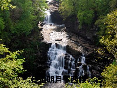 任他明月下西楼小说(许明月段泽铭)全文+后续（任他明月下西楼）无套路阅读
