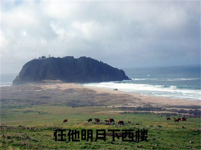 终章小说许明月段泽铭小说(许明月段泽铭)已更新+番外篇章（任他明月下西楼）无广告