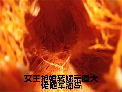 （女主抢婚转嫁京圈大佬随军海岛）姜泽远简悦女主抢婚转嫁京圈大佬随军海岛无删减小说在线无广告高口碑小说