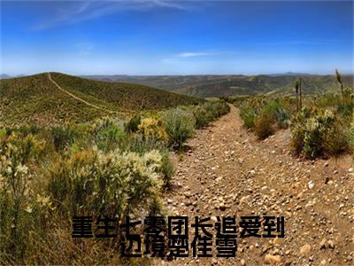 楚佳雪池劲锋小说完本章节前文+全篇阅读（重生七零团长追爱到边境楚佳雪）连载中