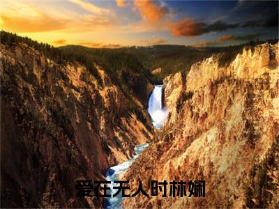 （爱在无人时林娴）爱在无人时林娴(傅宴玉林娴)整书在线无广告高口碑小说