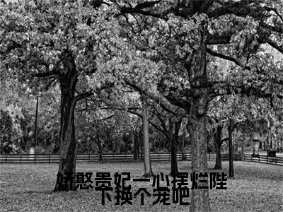 （娇憨贵妃一心摆烂陛下换个宠吧）夏侯玄姜挽歌小说最终篇章章节在线无广告高口碑小说