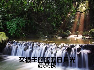 女狼王的皎皎白月光苏冥夜小说（凤羽苏冥夜）前传+全书阅读新作预览