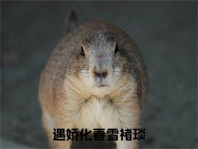 遇娇化春雪褚琰（江羡姣褚琰）结局+番外免费品鉴_遇娇化春雪褚琰（遇娇化春雪褚琰）免费在线阅读+后续评价五颗星