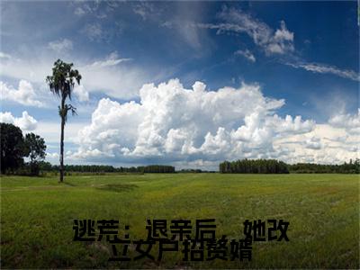 许知意沈无忧（逃荒：退亲后，她改立女户招赘婿/许知意沈无忧：结局+番外）全文免费阅读无弹窗大结局_(逃荒：退亲后，她改立女户招赘婿)最新章节列表_笔趣阁（许知意沈无忧/逃荒：退亲后，她改立女户招赘婿：结局+番外）